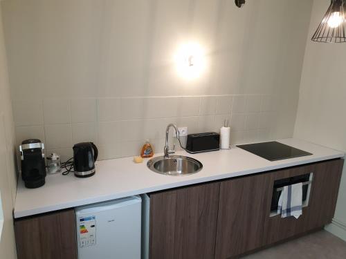 Au Loup Historic Apartments - 주방