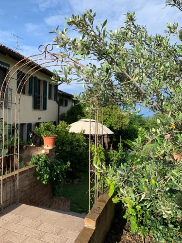 Ca' degli Ovi b&b - San Salvatore Monferrato