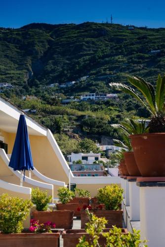 Hotel Belvedere - image 7