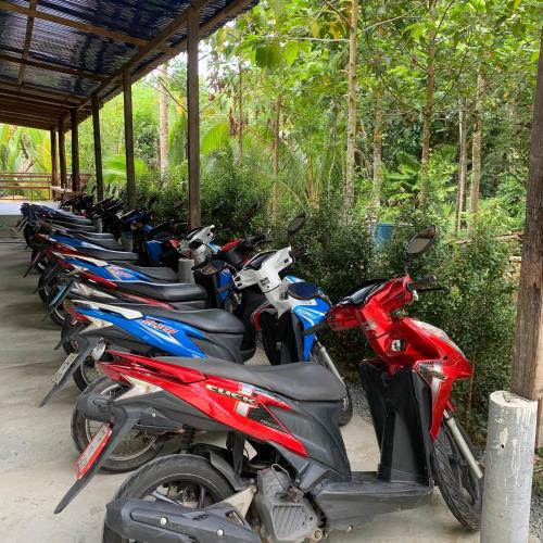 A Hotel Com Pd Guesthouse Guest House Ko Kood Thailand Price Reviews Booking Contact