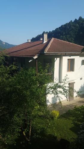 Вила Керенски, Ribarica (foto 7)