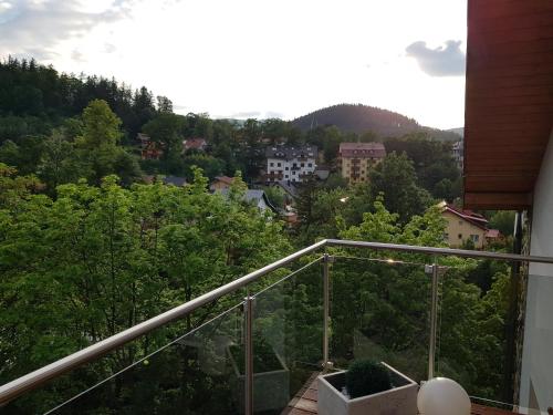 Apartament z widokiem