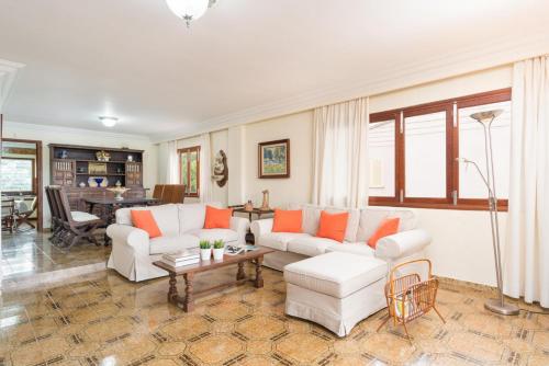 Can Salom - image 5