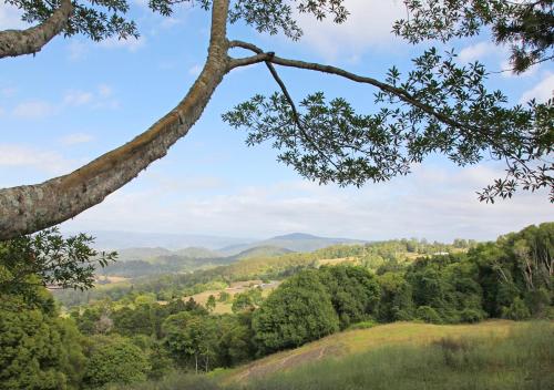 Maleny Hinterland Escape