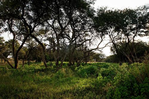 Mahikeng Lodge