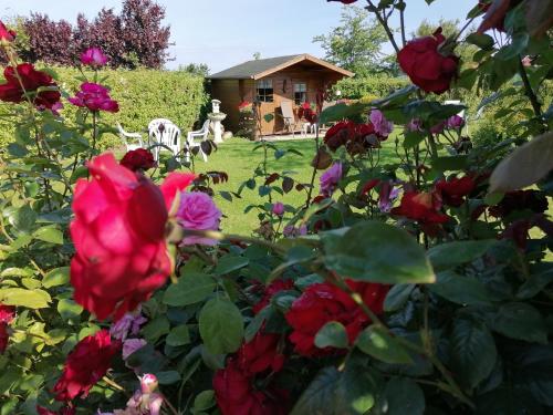 Pension Hohaus 1.9km von Poggenburg entfernt
