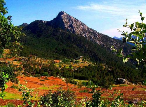  Görsem Doğa Macera ve Spor etkinlikleri in Side