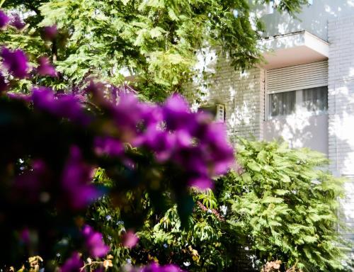 Hotel Nutibara, Mendoza (fotografie 10)