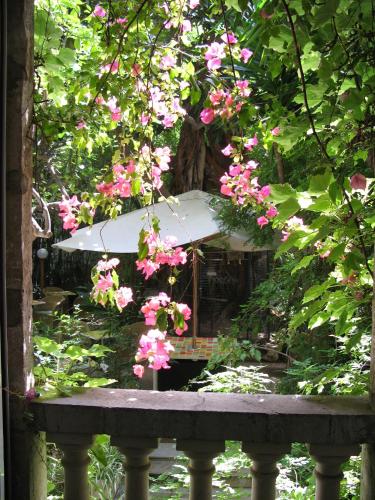 Le Windsor, Jungle Art Hotel, Nice (fotografie 11)