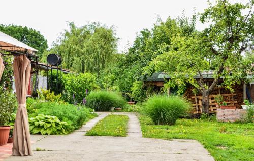 Klára Apartman - image 12
