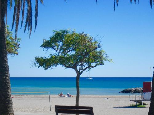 Appt 5 pax terrasse vue Plage. LOCAMAR. Cuchi