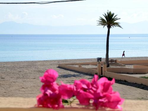 Salzes 4 gîte à louer Ullaró