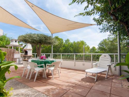 Zamia - image 12