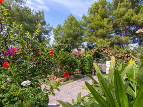 Zamia - image 8