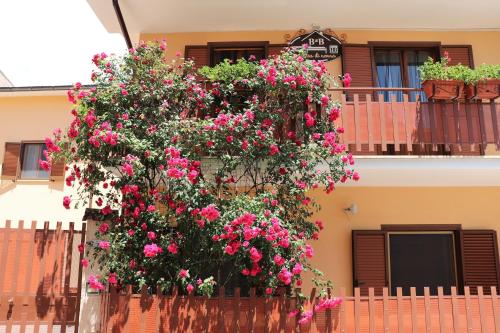 B&B A Casa di Nonna - Accommodation - Massa dʼAlbe