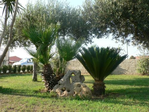 B&B Villa Francesco - image 9