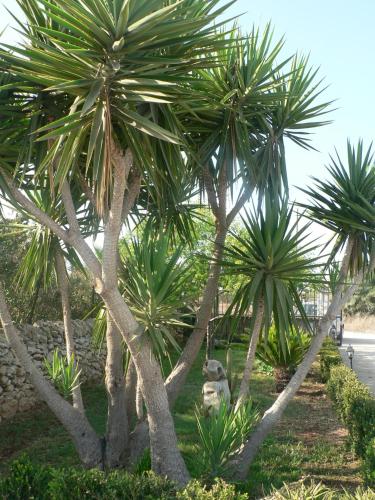 B&B Villa Francesco - image 11