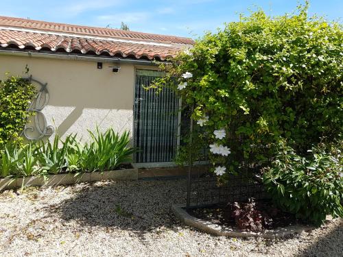 Gite - Studios Marie Barrault - Location saisonnière - Les Herbiers