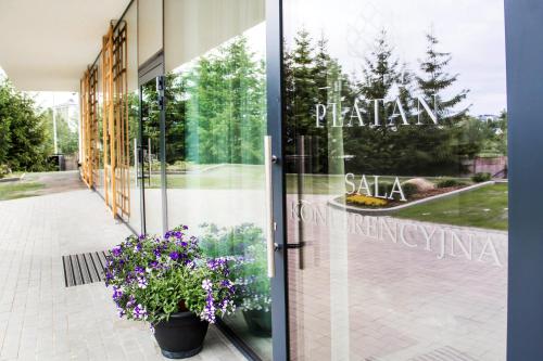 Hotel Platan - image 11