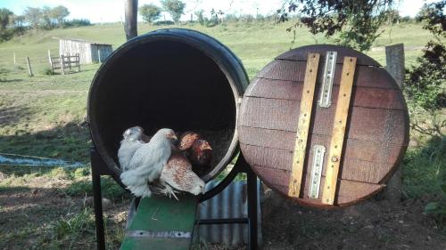 Ferme de Bellevue