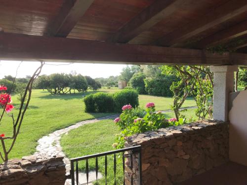 Visit San Teodoro