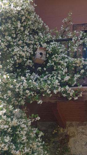  LA TORRE DE CUBILLAS, Ferienwohnung in Matienzo