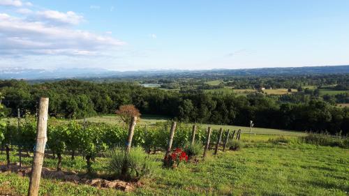 Gîte entre Vignes et Montagne