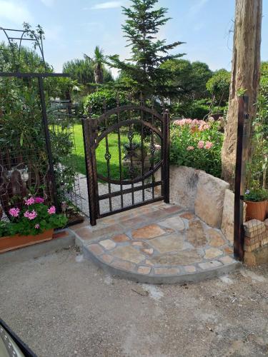  Rade Stancijeta Apartments in Novigrad