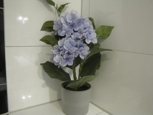 Milano Hotel - image 3