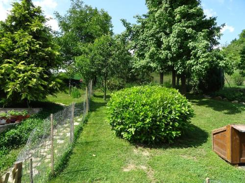 Garden, St. Rita Guesthouse in Lókút