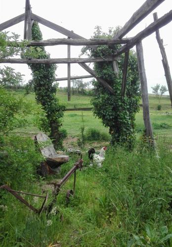 Ferme de Bellevue