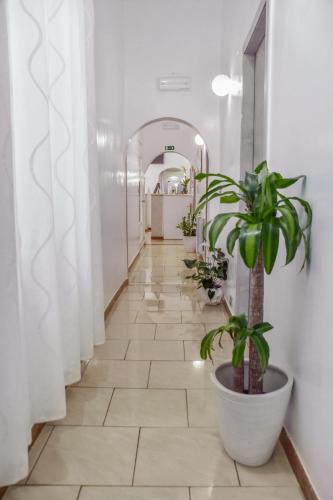 Hotel Sol Levante - image 10