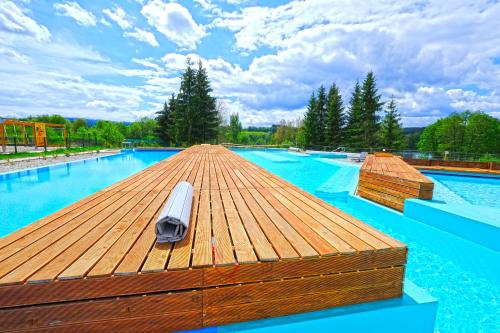 Lipno Wellness - Frymburk C 301 in Frymburk