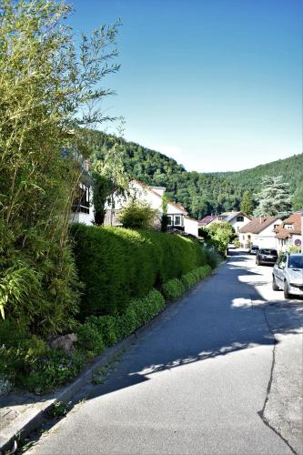 FVH Family Vacation Heidelberg 2.8km von Neckargemünd entfernt