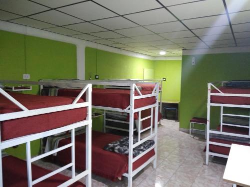 Hostel Richieri