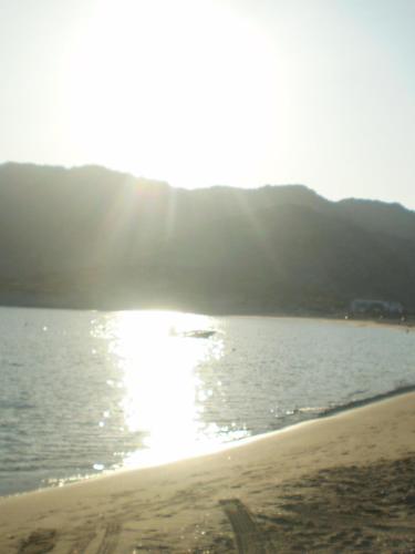 Galini Pension - image 9