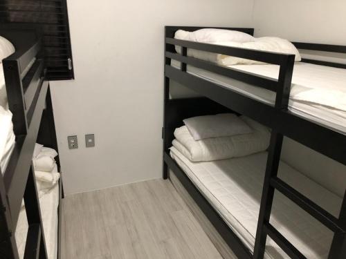 Amazon Guesthouse, Seoul