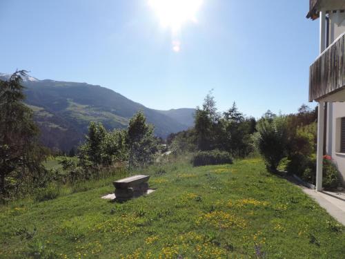 Alpenrose (295 Av) - image 6
