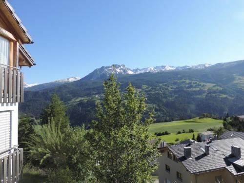 Alpenrose (295 Av) in 布里恩茨倫策海德