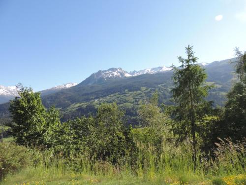 Alpenrose (295 Av) - image 4