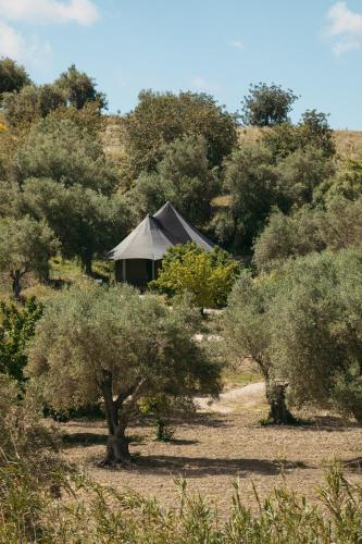 IUTA Glamping & Farm