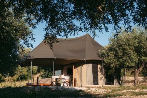 Lodge image 1