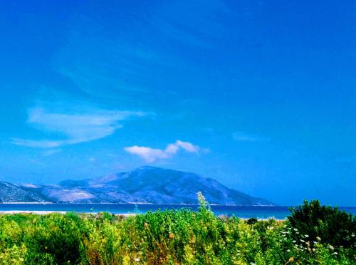 Apartment Albania Over view