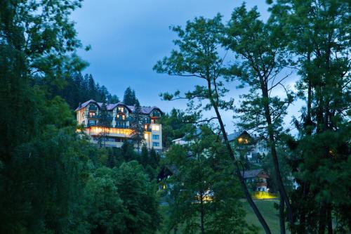 20484119 Hotel Triglav