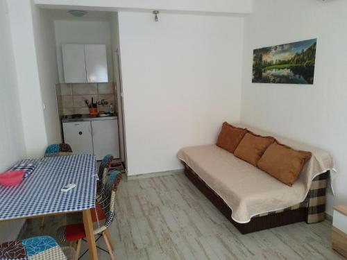 Apartments Jovanović - image 12