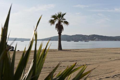 Cote d'Azur Holidays photo 16
