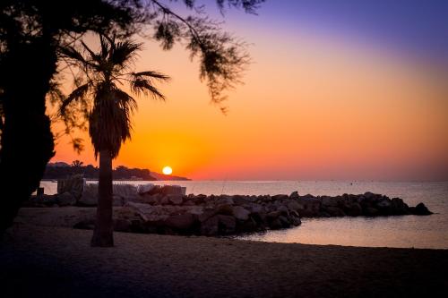 Cote d'Azur Holidays photo 22