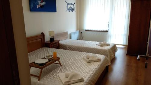 Pine Tree Apartment 2 - B7, Bansko (foto 3)