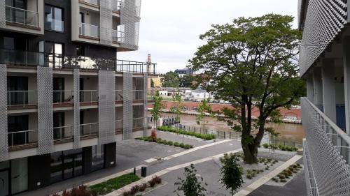 Boogie Apartments, Breslau (Foto 6)