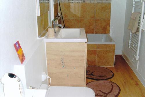 chambre d'hotes a nerac - Montagnac-sur-Auvignon